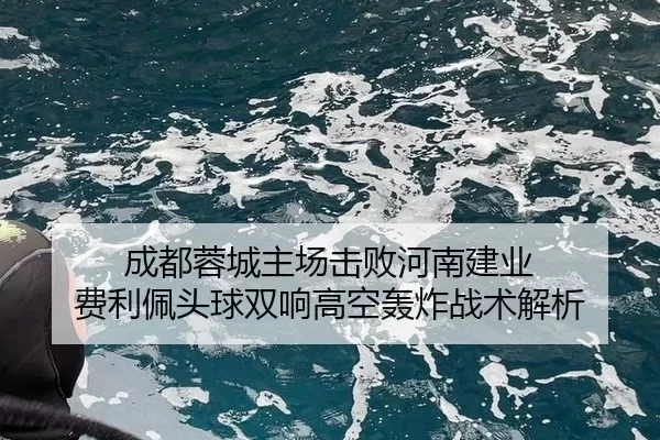 成都蓉城主场击败河南建业 费利佩头球双响高空轰炸战术解析