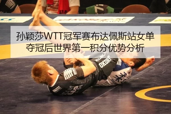 sun-ying-sha-guan-jun-sai-bu-da-pei-si-zhan-nv-dan-duo-guan-hou-shi-jie-di-yi-ji-fen-you-shi-fen-xi-2-493.jpg